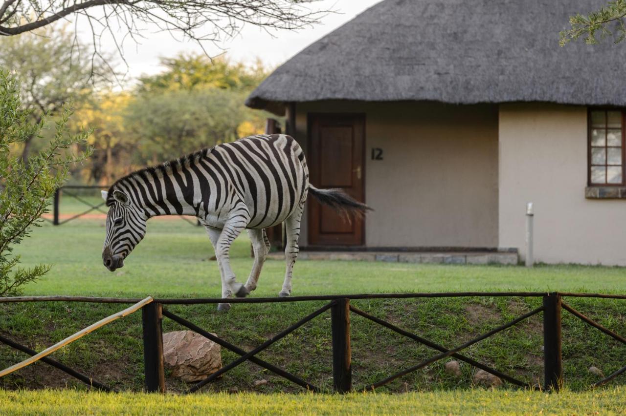 Mongena Private Game Lodge Rust de Winter Экстерьер фото