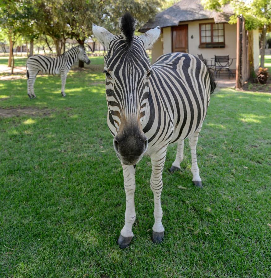 Mongena Private Game Lodge Rust de Winter Экстерьер фото