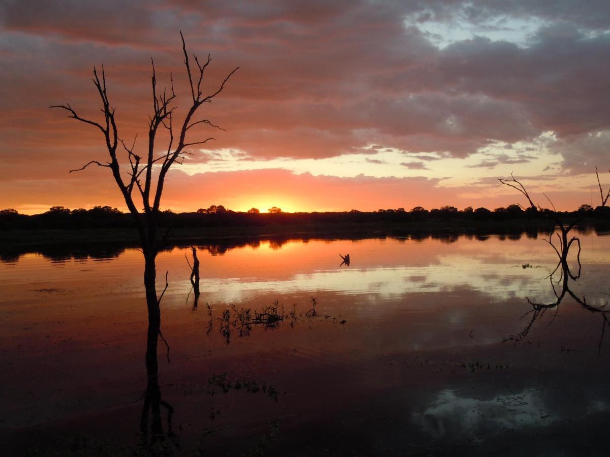 Mongena Private Game Lodge Rust de Winter Экстерьер фото