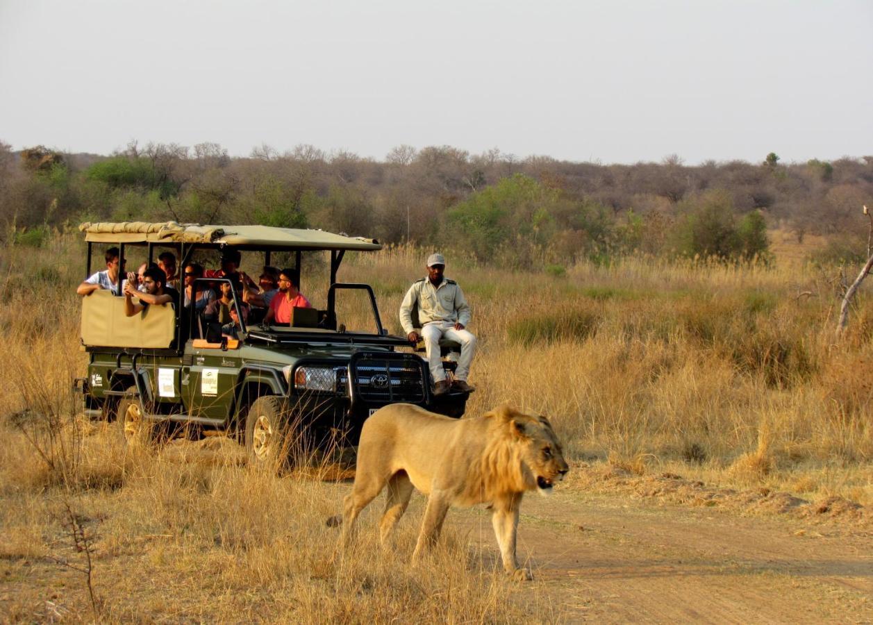 Mongena Private Game Lodge Rust de Winter Экстерьер фото